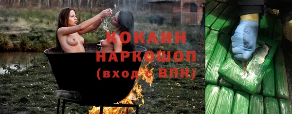 сатива Мегион