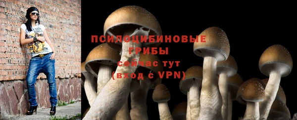 наркотики Медвежьегорск