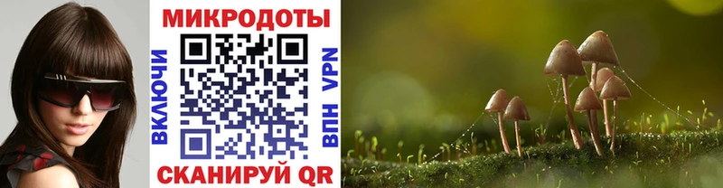 Галлюциногенные грибы GOLDEN TEACHER  купить  цена  Мглин 